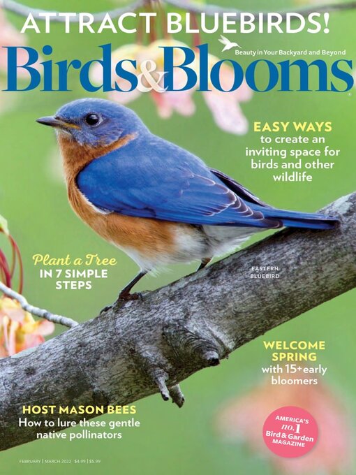 Title details for Birds & Blooms by Trusted Media Brands Inc. - Available